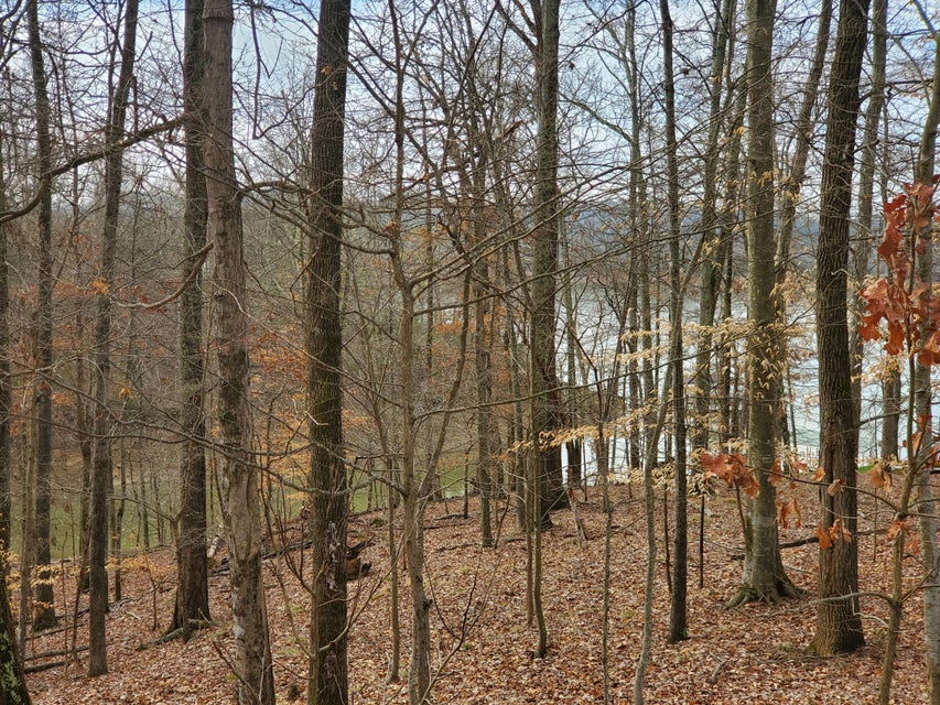 Photo #17: 702 Muskogee Drive