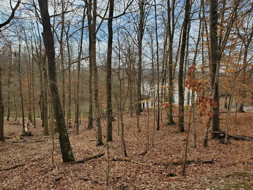 Photo #18: 702 Muskogee Drive