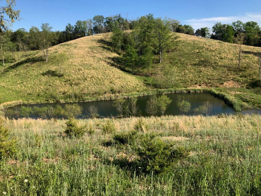 Photo #8: 3456 Warrensburg Road