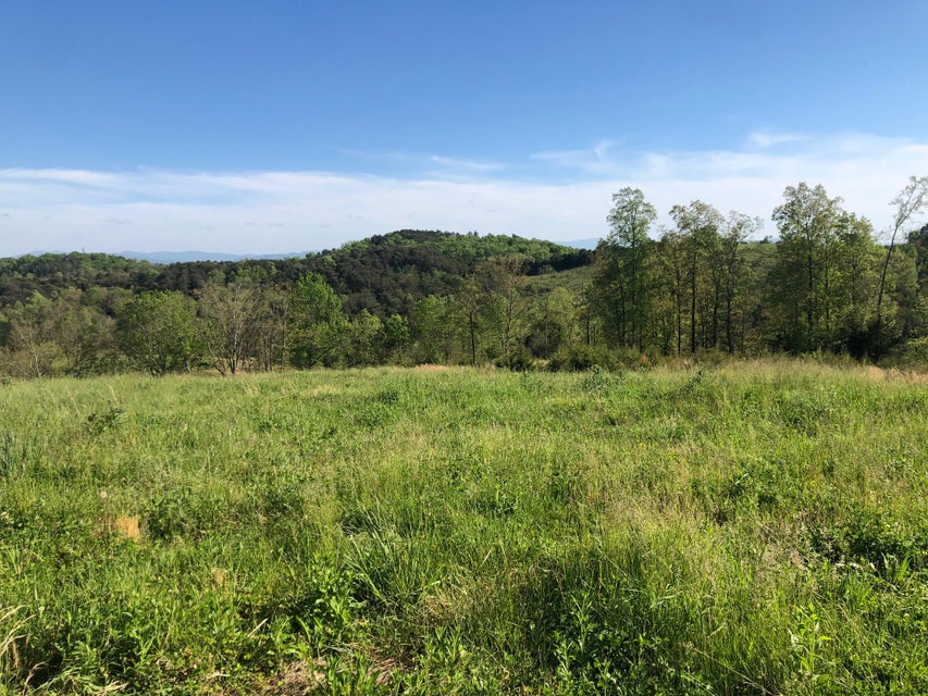 Photo #10: 3456 Warrensburg Road