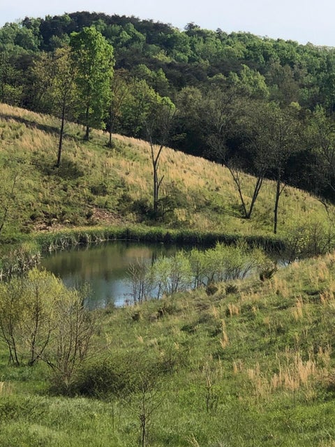 Photo #3: 3456 Warrensburg Road