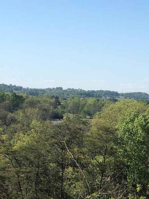 Photo #4: 3456 Warrensburg Road