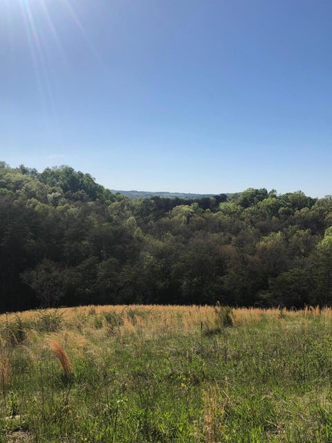 Photo #7: 3456 Warrensburg Road