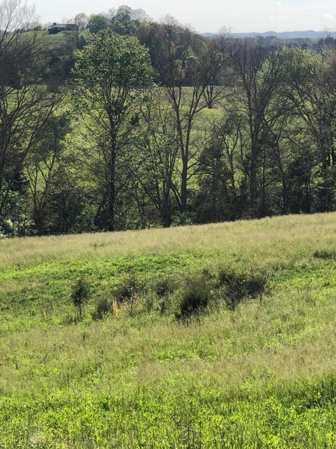 Photo #14: 3456 Warrensburg Road