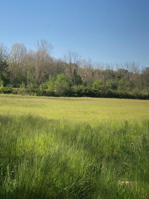 Photo #15: 3456 Warrensburg Road