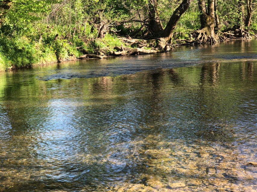 Photo #21: 3456 Warrensburg Road