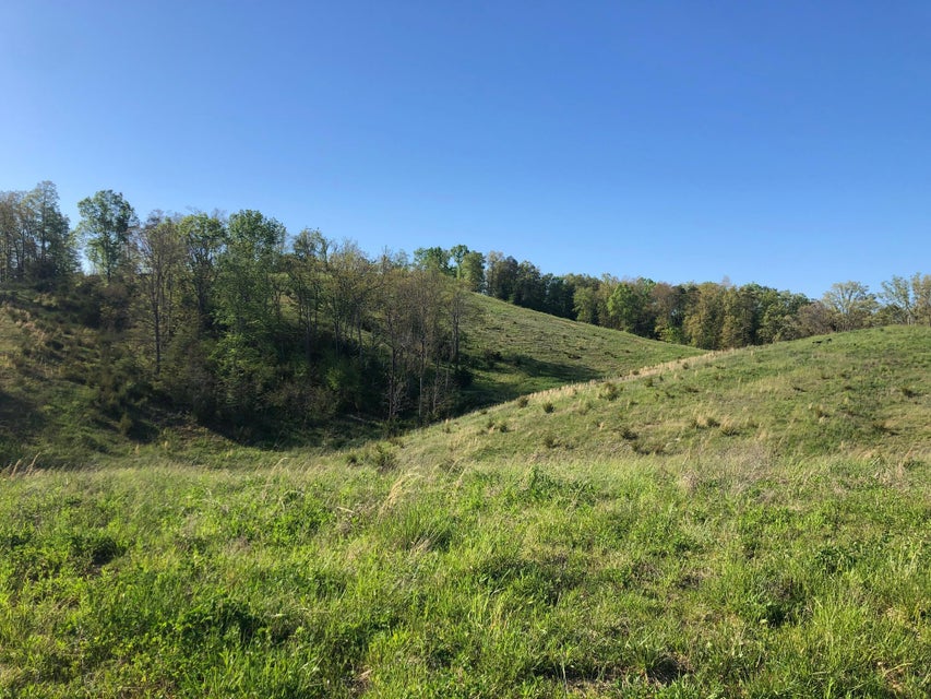 Photo #28: 3456 Warrensburg Road