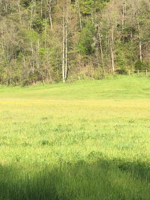 Photo #24: 3456 Warrensburg Road
