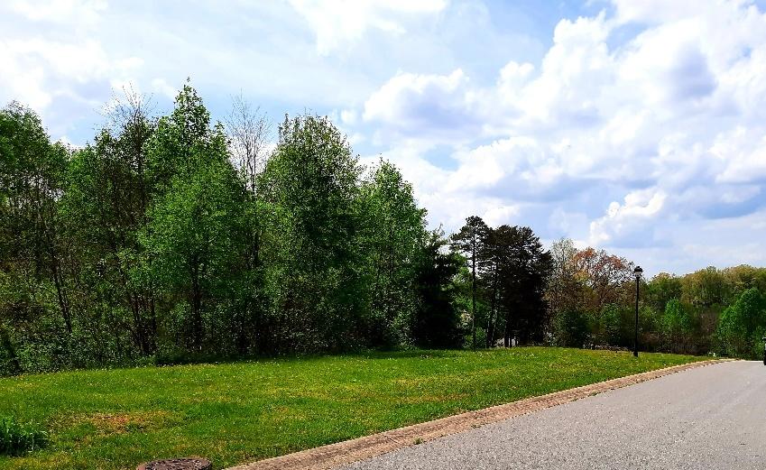 Photo #1: 45 Fountain (Lot #1) Court