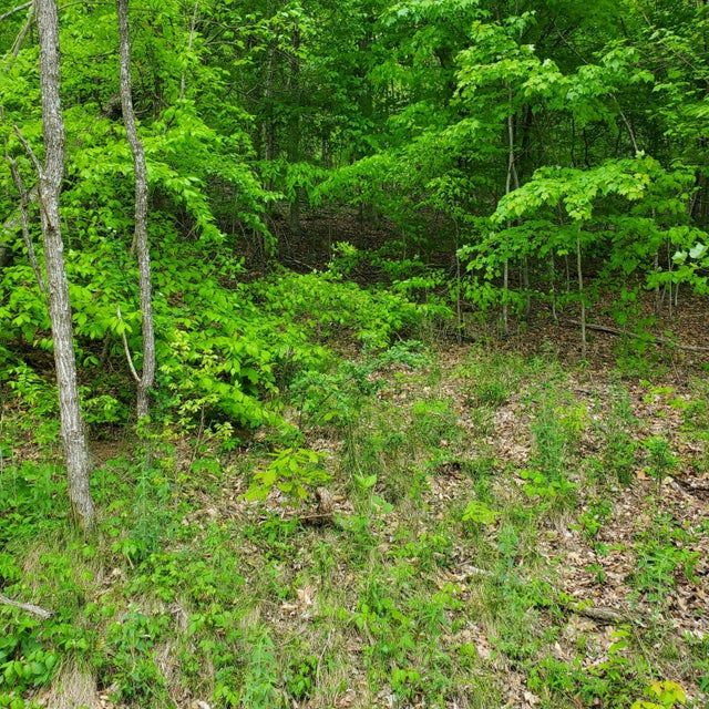 Photo #16: Lot 130 Whistle Valley Road