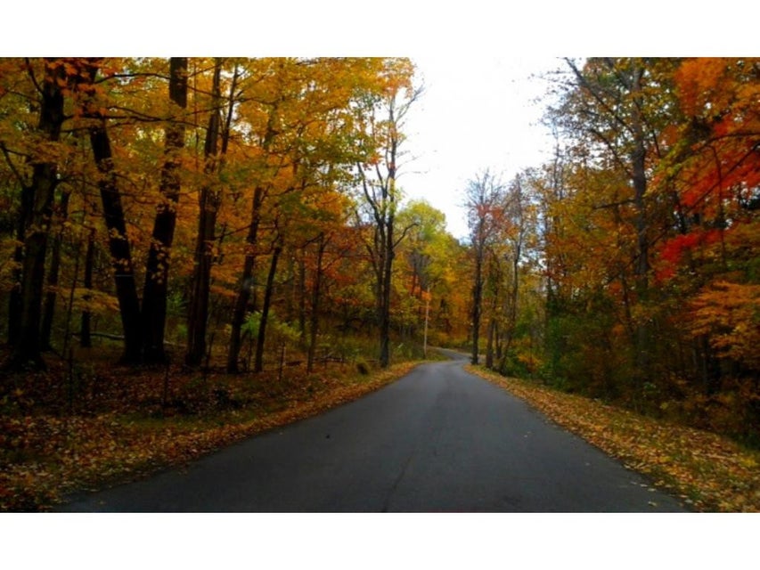 Photo #9: 35 Deer Run