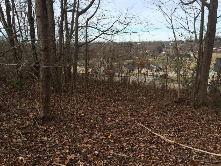 Photo #2: 136 Maple Crest