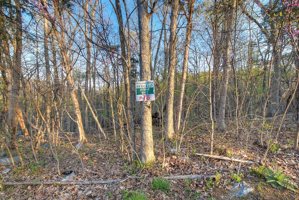 Photo #5: Lot 17 Eagles Nest
