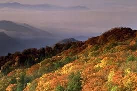 Photo #7: Lot 17 Eagles Nest