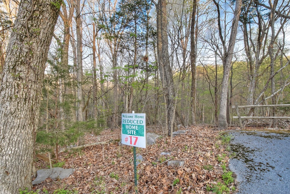 Photo #3: Lot 18 Eagles Nest