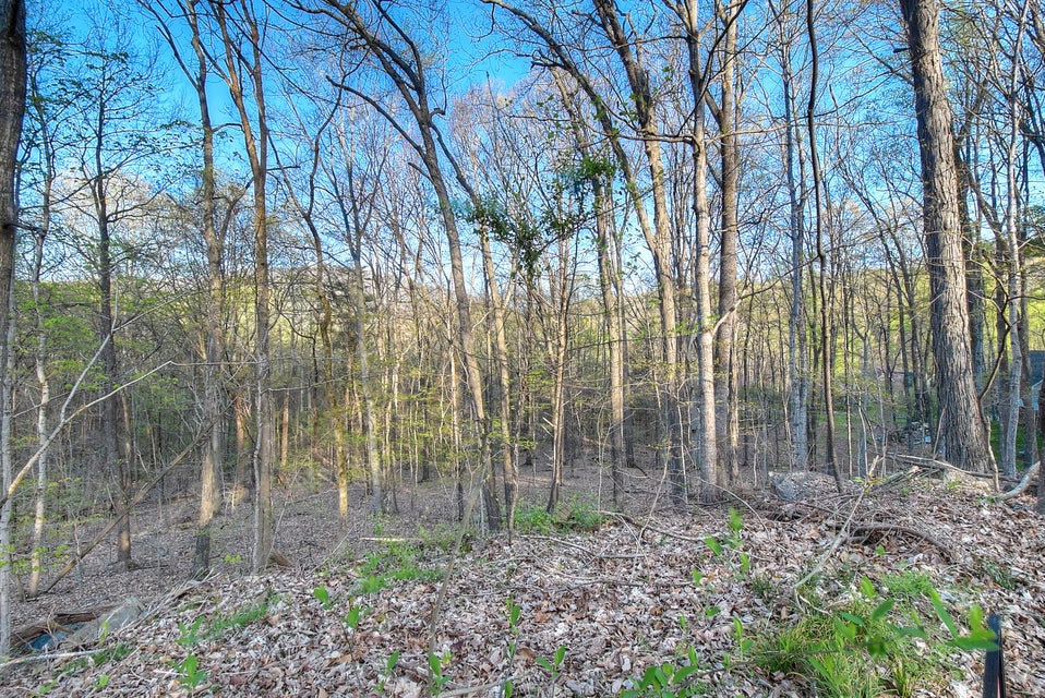 Photo #4: Lot 18 Eagles Nest