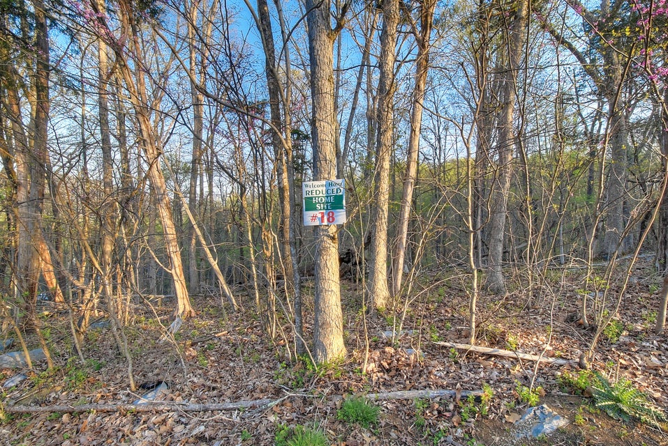 Photo #5: Lot 18 Eagles Nest