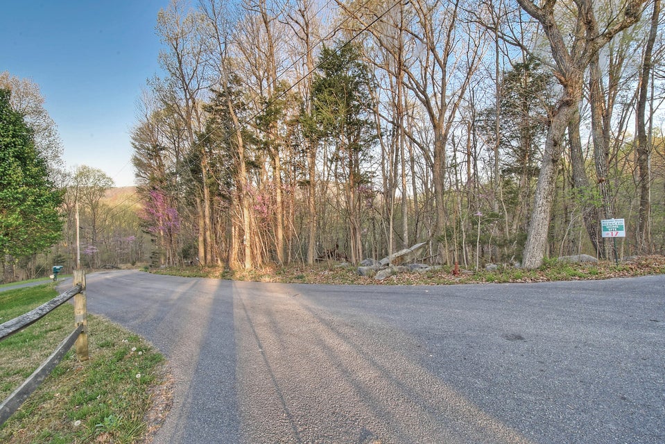 Photo #6: Lot 18 Eagles Nest