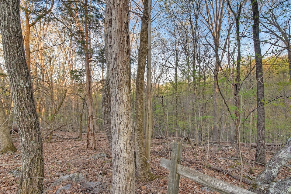 Photo #7: Lot 18 Eagles Nest