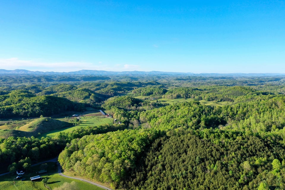 Photo #14: Tbd Sweet Hollow Road