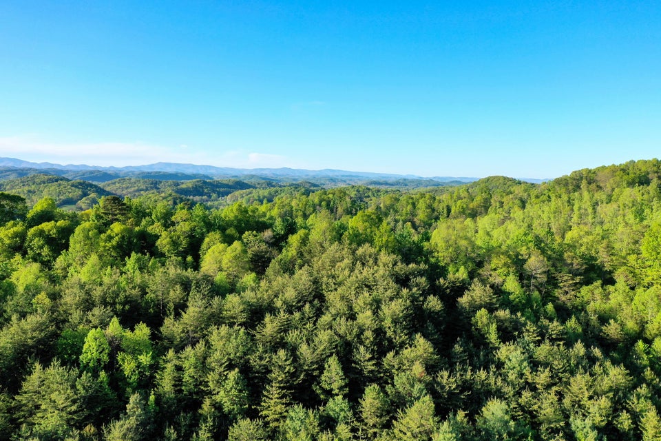 Photo #22: Tbd Sweet Hollow Road