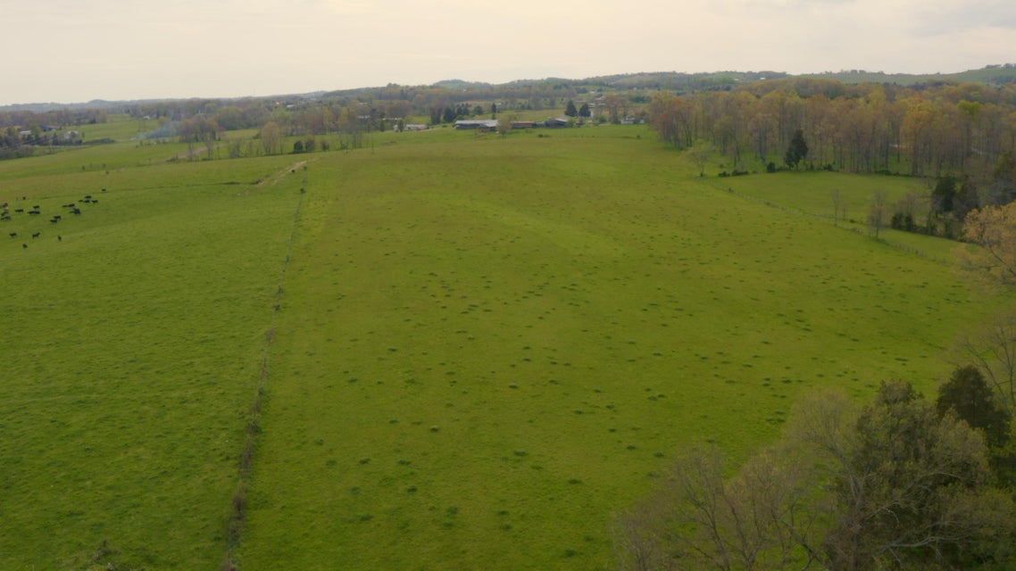 Photo #2: 1072 Bulls Gap St Clair Road