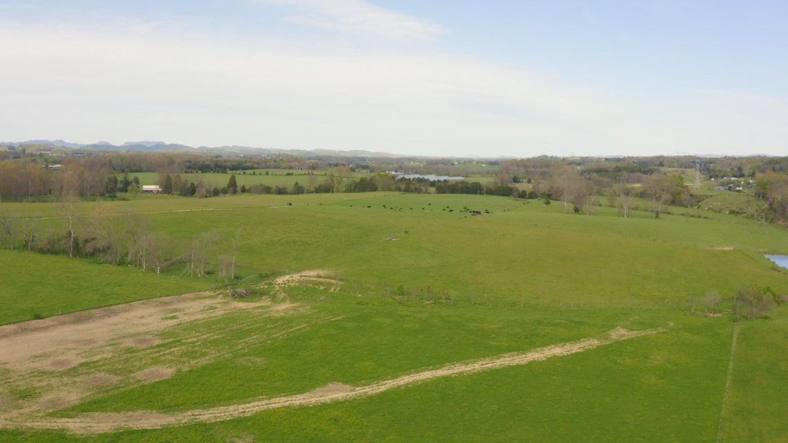 Photo #4: 1072 Bulls Gap St Clair Road