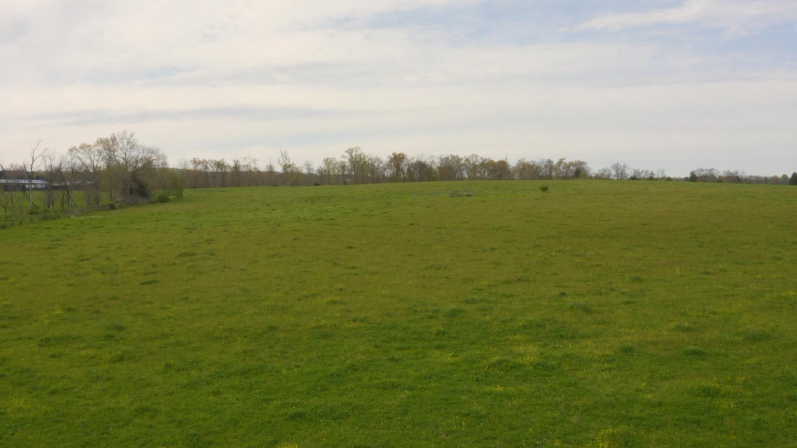 Photo #6: 1072 Bulls Gap St Clair Road