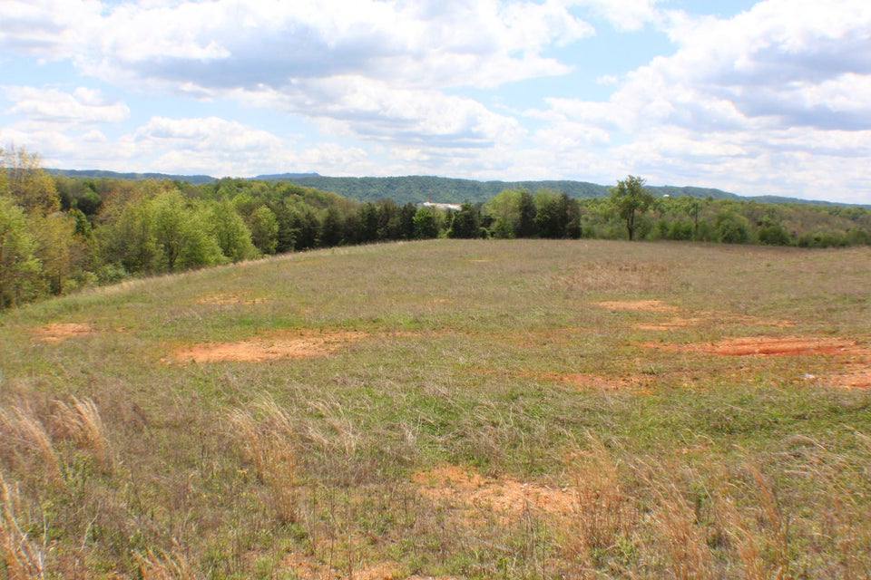 Photo #2: 142 Bradley Creek Road