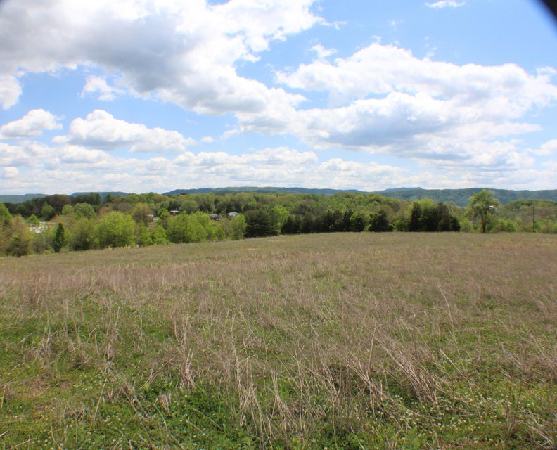 Photo #8: 142 Bradley Creek Road