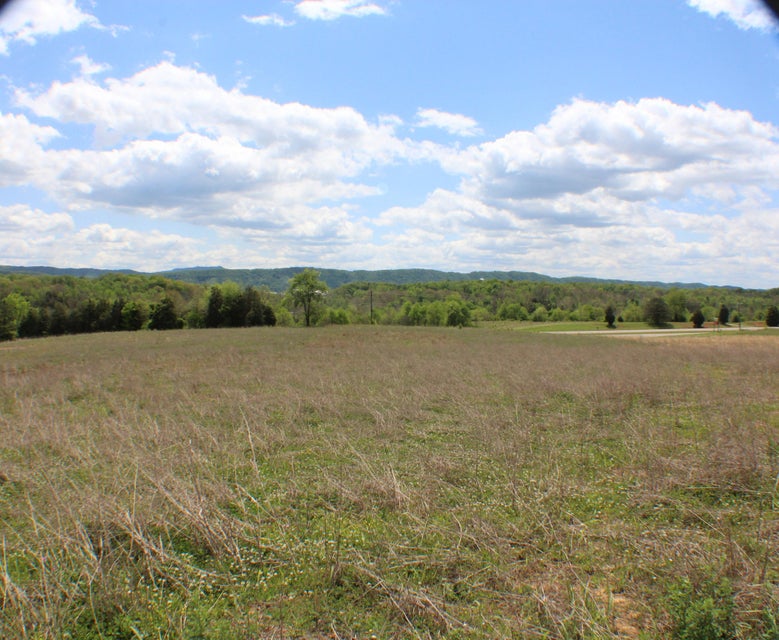 Photo #9: 142 Bradley Creek Road