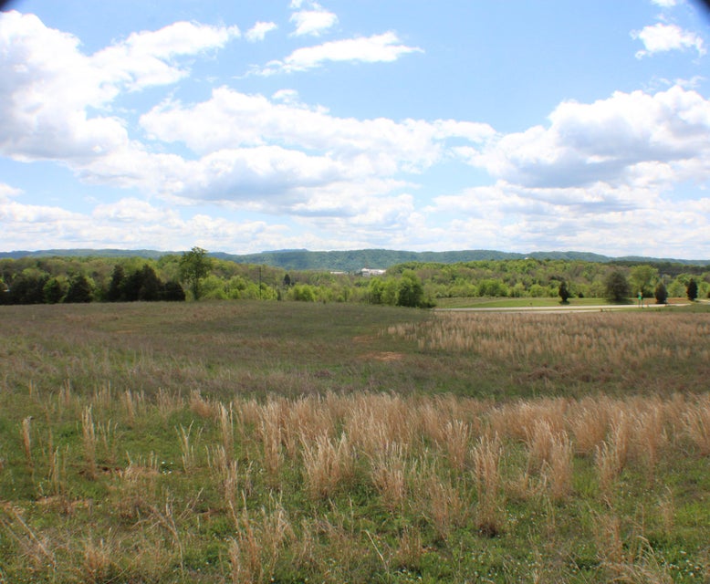 Photo #16: 142 Bradley Creek Road