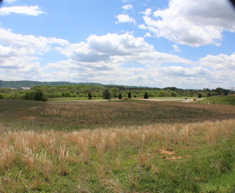 Photo #17: 142 Bradley Creek Road