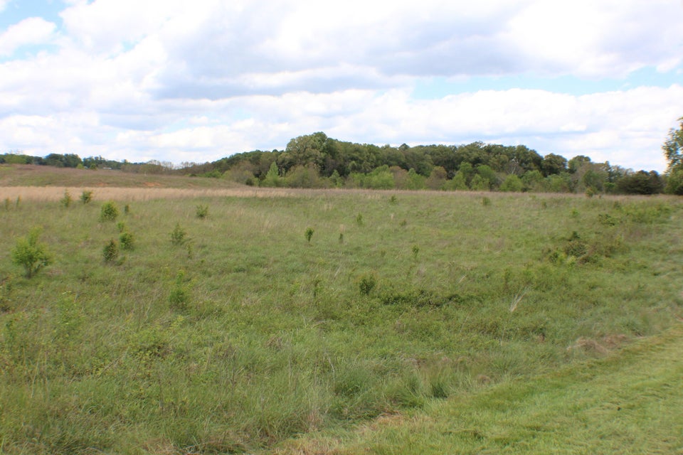 Photo #31: 142 Bradley Creek Road