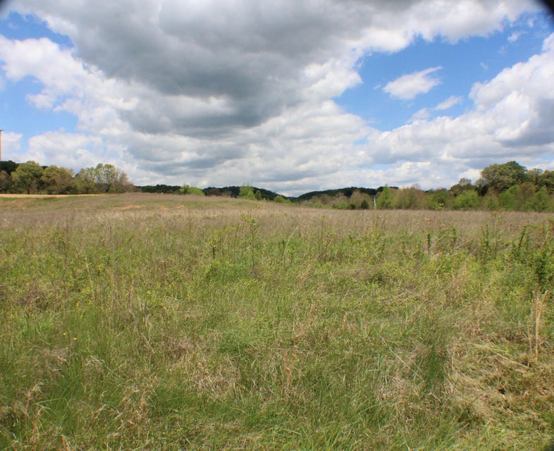 Photo #39: 142 Bradley Creek Road