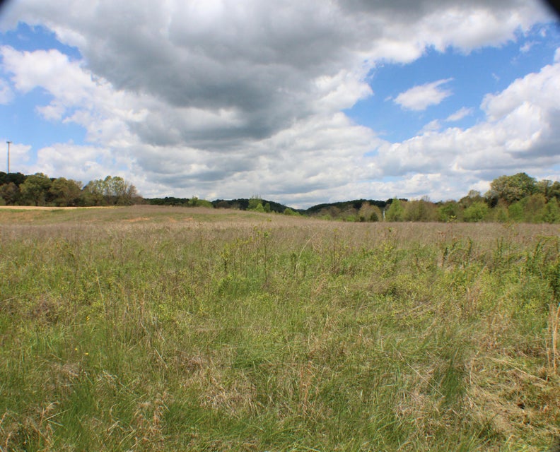 Photo #40: 142 Bradley Creek Road