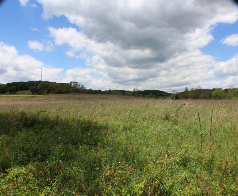 Photo #41: 142 Bradley Creek Road