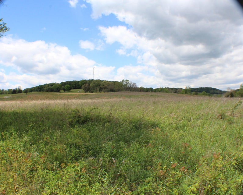 Photo #42: 142 Bradley Creek Road