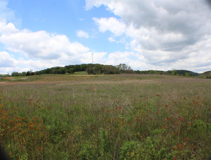 Photo #44: 142 Bradley Creek Road