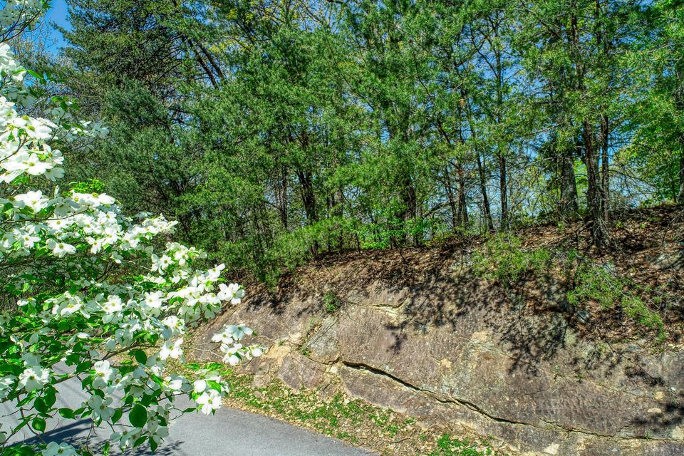 Photo #15: 1107 Keetoowah Drive