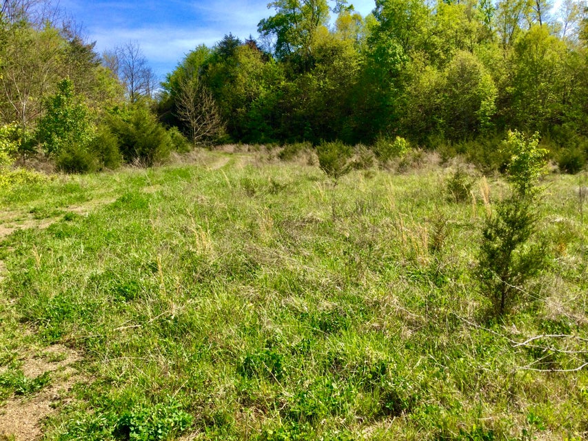 Photo #3: Tbd Marley Drive