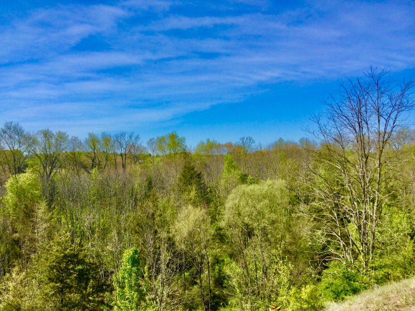 Photo #7: Tbd Marley Drive