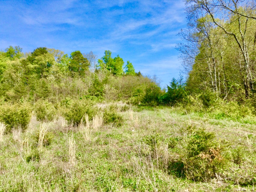Photo #9: Tbd Marley Drive