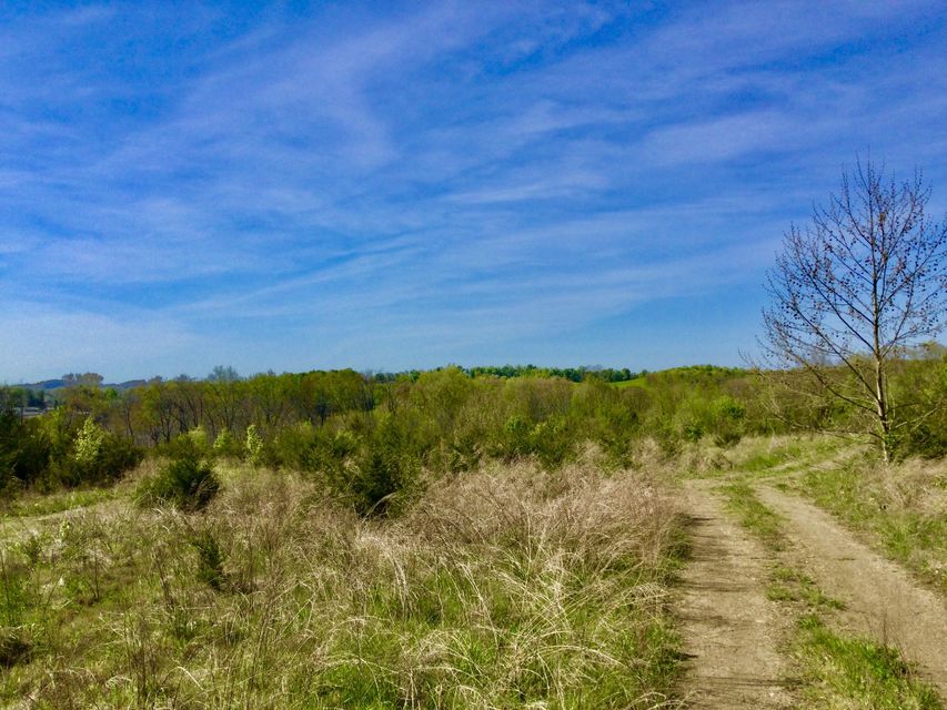 Photo #11: Tbd Marley Drive