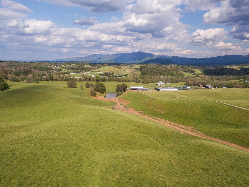 Photo #9: 3102 West Allens Bridge Road