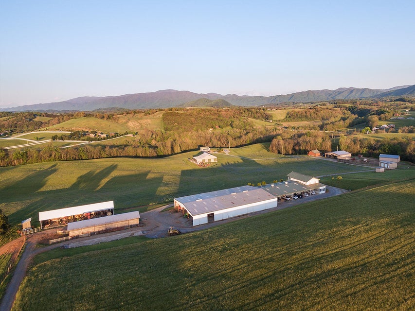 Photo #8: 3102 West Allens Bridge Road