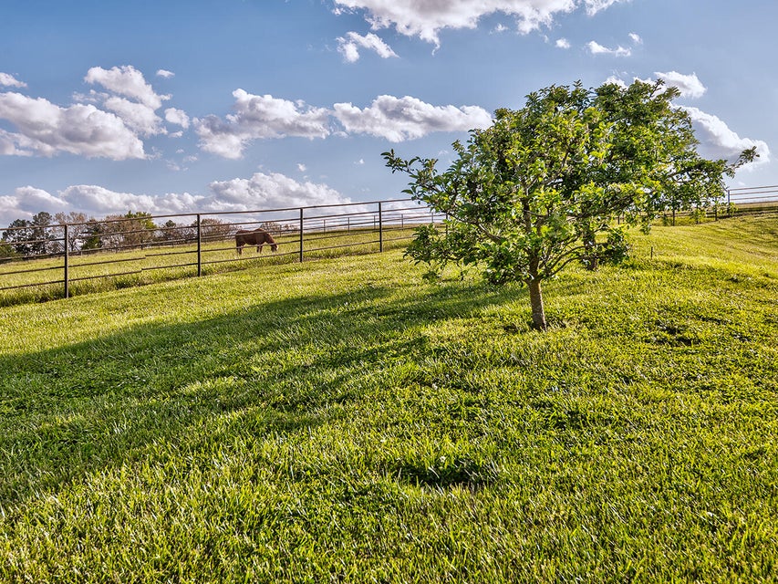 Photo #50: 3102 West Allens Bridge Road