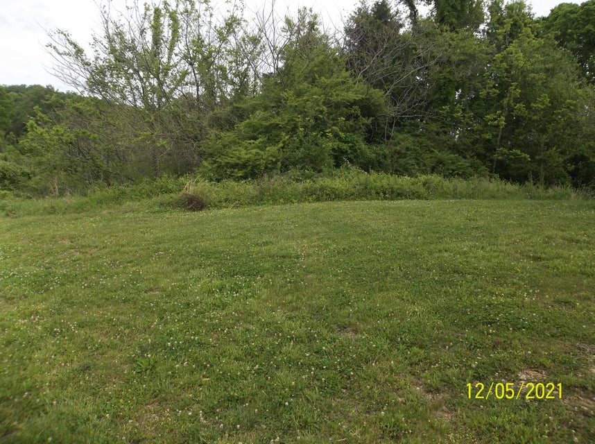 Photo #3: Tbd Bayside Blvd