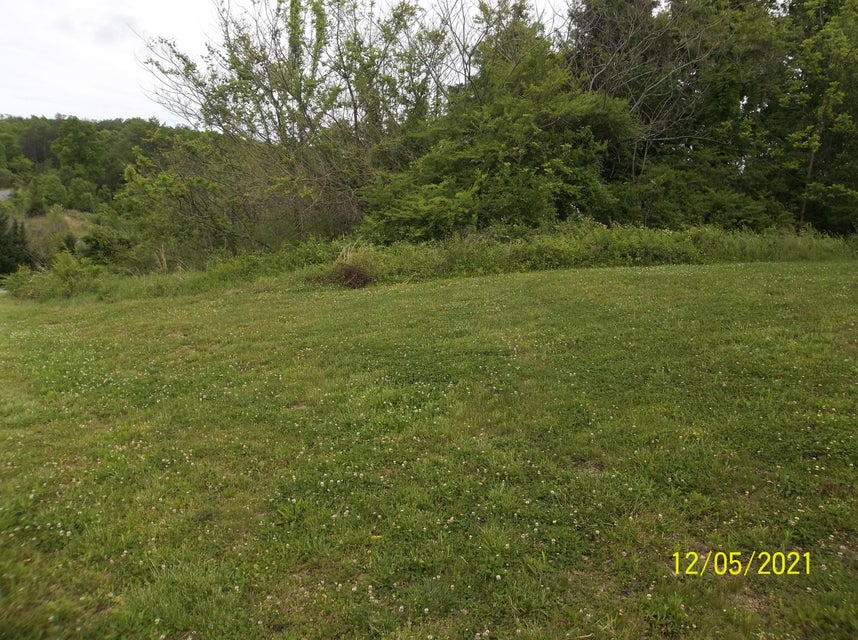 Photo #4: Tbd Bayside Blvd