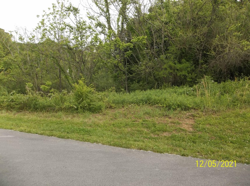 Photo #6: Tbd Bayside Blvd